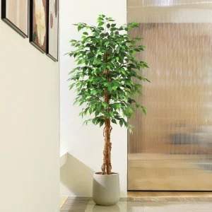 Artificial Ficus Trees with Natural Curved Trunks